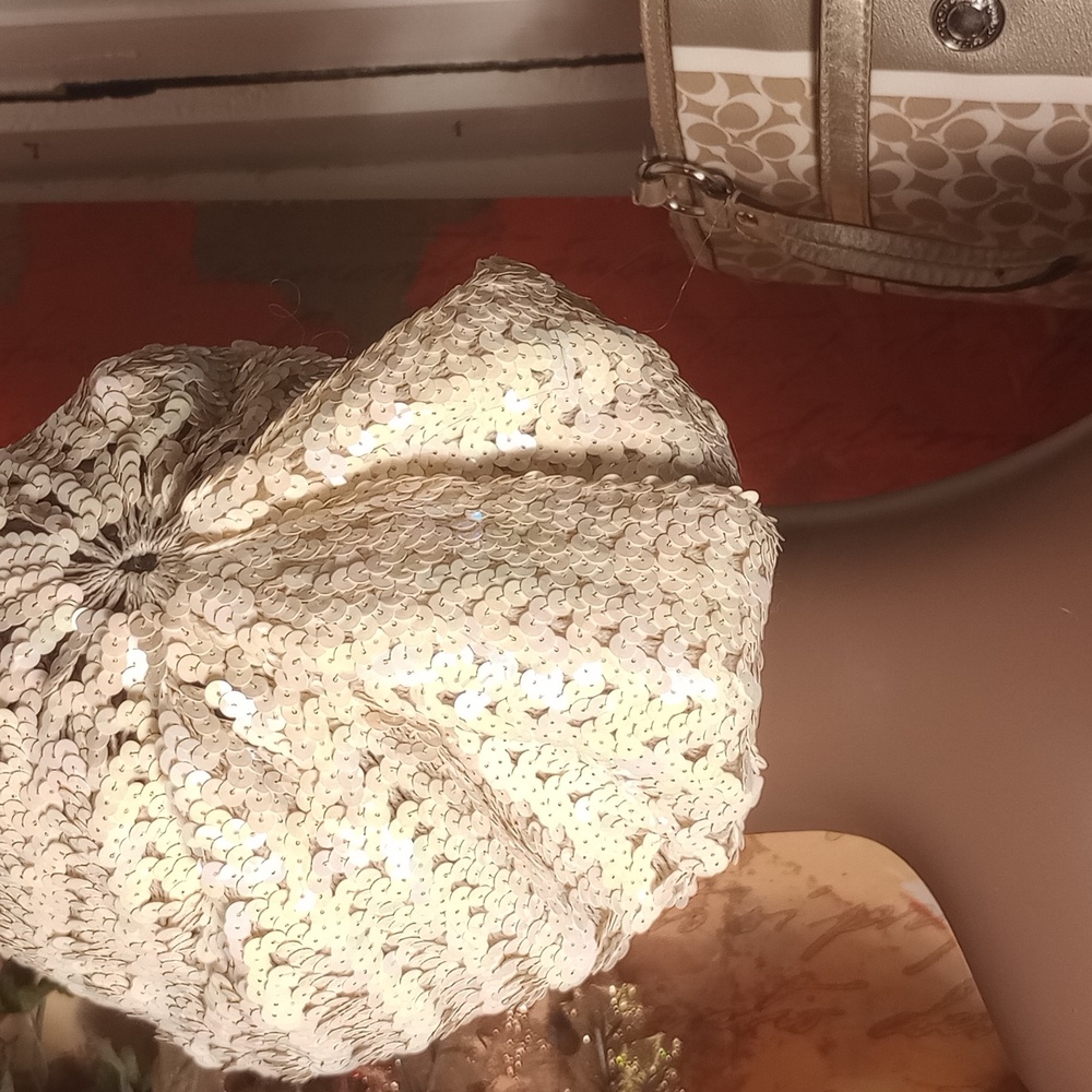 Sequin Beanie Hat - image 3